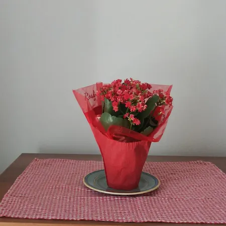 Beauty בית הארחה ברגמו