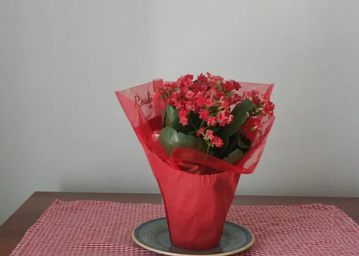 Beauty Guest house Bergamo