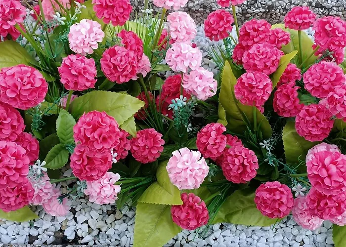 Beauty 게스트하우스