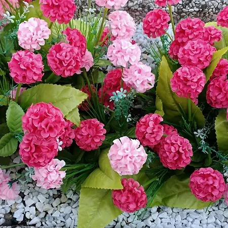 Beauty Πανσιόν